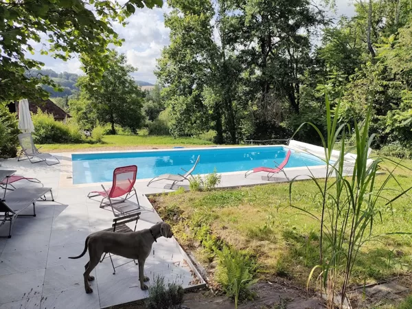Piscine et extérieur