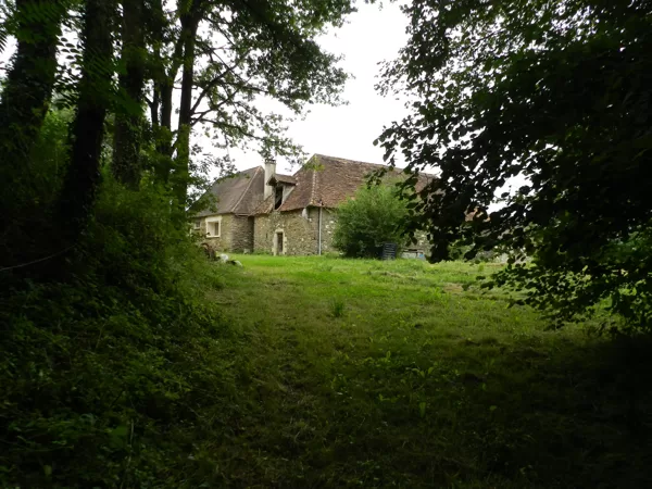 La forêt